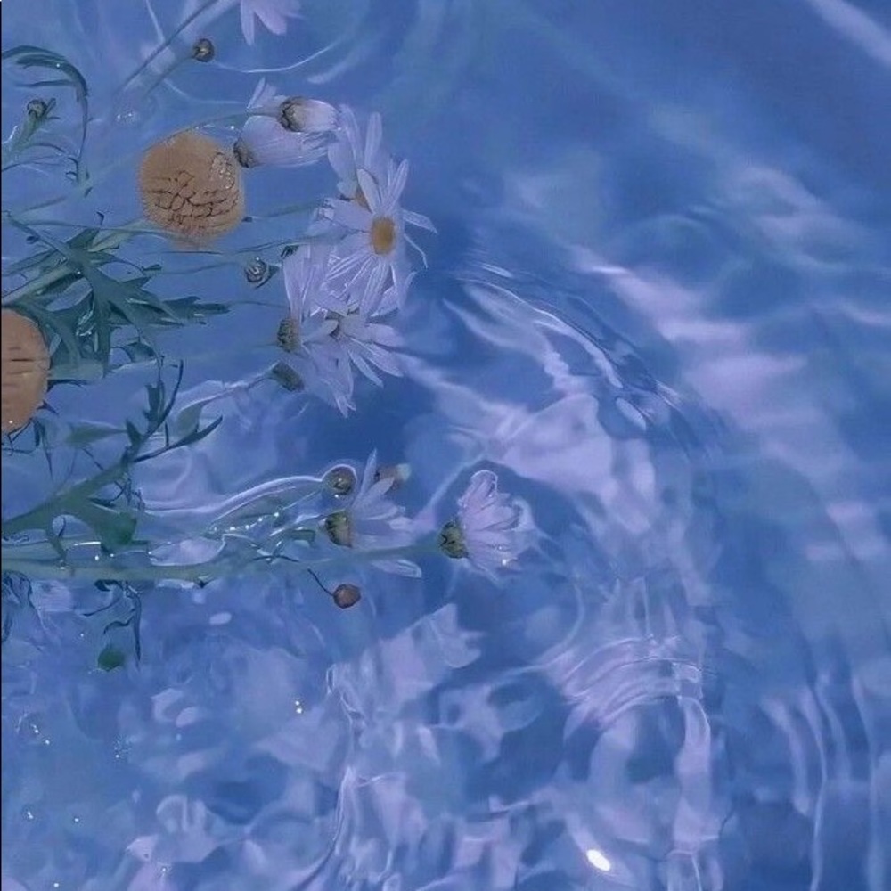 Meet your Posher, Jenessa